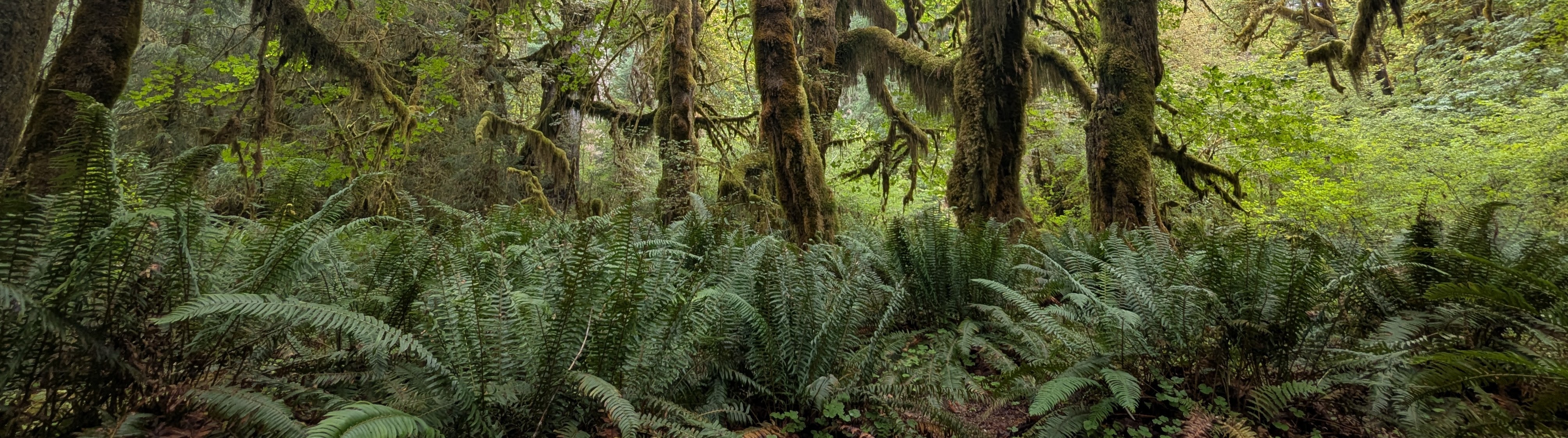 2025 Activity Highlights